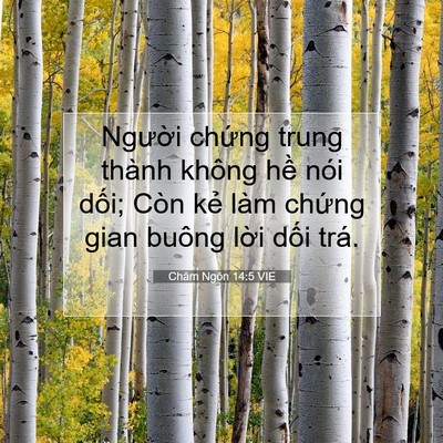 Picture 07 - Châm Ngôn 14:5 VIE - Người chứng trung thành không hề nói - Bible Verse Picture