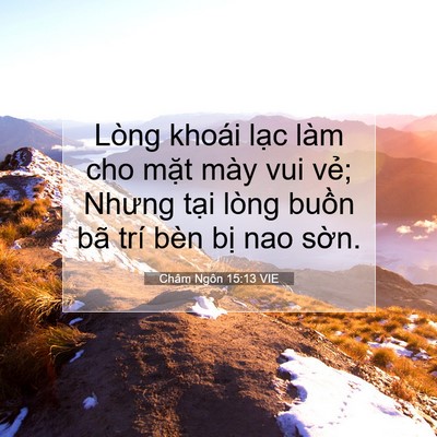 Picture 07 - Châm Ngôn 15:13 VIE - Lòng khoái lạc làm cho mặt mày vui vẻ; - Bible Verse Picture