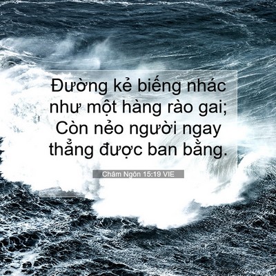 Picture 07 - Châm Ngôn 15:19 VIE - Đường kẻ biếng nhác như một hàng - Bible Verse Picture