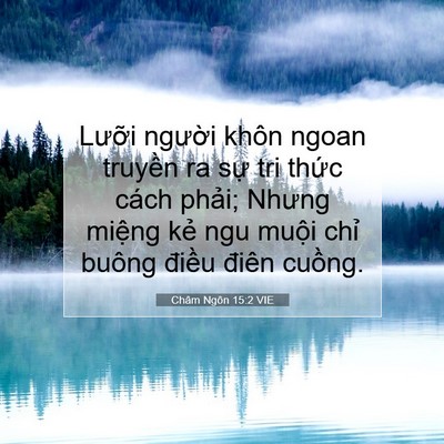 Picture 07 - Châm Ngôn 15:2 VIE - Lưỡi người khôn ngoan truyền ra sự tri - Bible Verse Picture