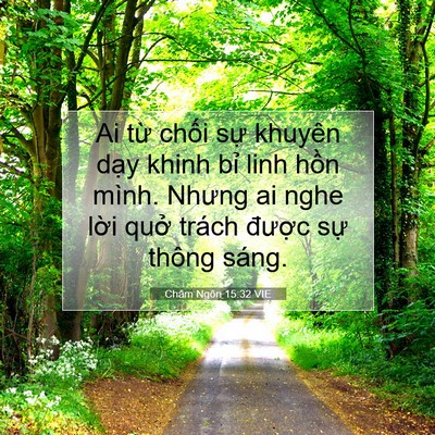 Picture 07 - Châm Ngôn 15:32 VIE - Ai từ chối sự khuyên dạy khinh bỉ linh - Bible Verse Picture
