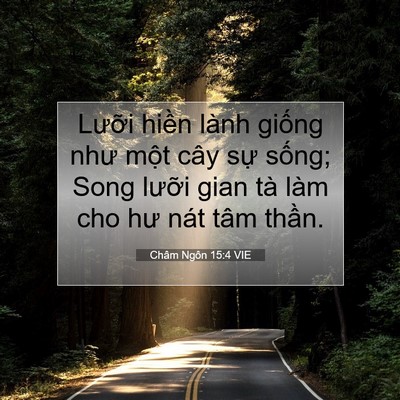Picture 07 - Châm Ngôn 15:4 VIE - Lưỡi hiền lành giống như một cây sự - Bible Verse Picture