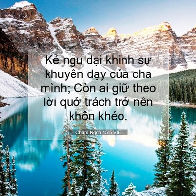 Picture 07 - Châm Ngôn 15:5 VIE - Kẻ ngu dại khinh sự khuyên dạy của cha - Bible Verse Picture