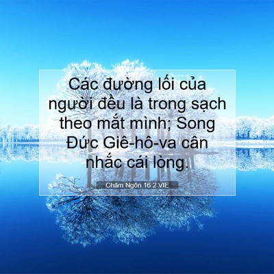 Picture 07 - Châm Ngôn 16:2 VIE - Các đường lối của người đều là - Bible Verse Picture