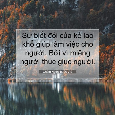 Picture 07 - Châm Ngôn 16:26 VIE - Sự biết đói của kẻ lao khổ giúp làm - Bible Verse Picture