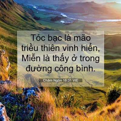 Picture 07 - Châm Ngôn 16:31 VIE - Tóc bạc là mão triều thiên vinh hiển, - Bible Verse Picture