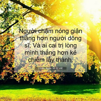 Picture 07 - Châm Ngôn 16:32 VIE - Người chậm nóng giận thắng hơn - Bible Verse Picture