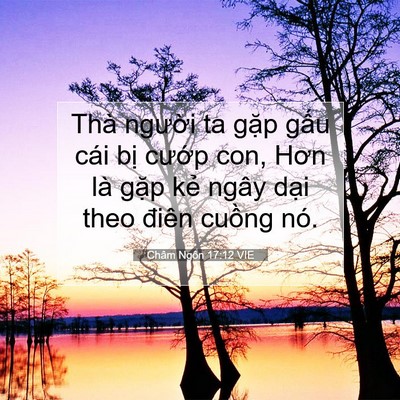 Picture 07 - Châm Ngôn 17:12 VIE - Thà người ta gặp gấu cái bị cướp - Bible Verse Picture