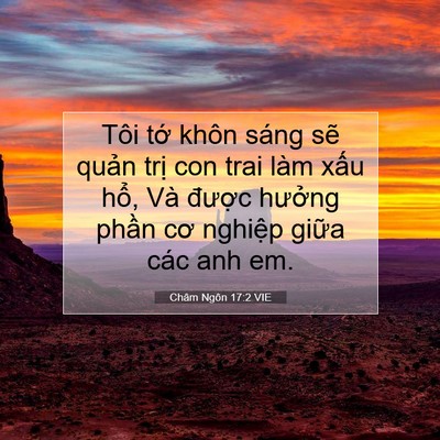 Picture 07 - Châm Ngôn 17:2 VIE - Tôi tớ khôn sáng sẽ quản trị con trai - Bible Verse Picture