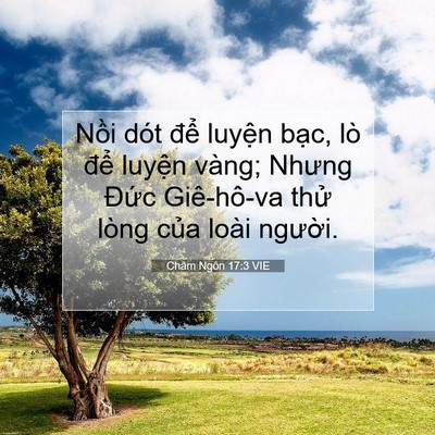 Picture 07 - Châm Ngôn 17:3 VIE - Nồi dót để luyện bạc, lò để luyện - Bible Verse Picture