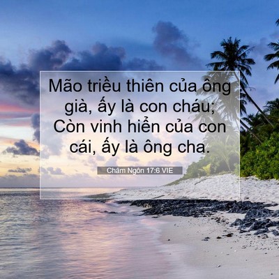 Picture 07 - Châm Ngôn 17:6 VIE - Mão triều thiên của ông già, ấy là con - Bible Verse Picture
