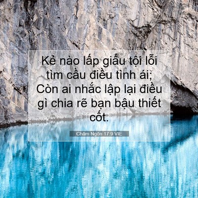 Picture 07 - Châm Ngôn 17:9 VIE - Kẻ nào lấp giấu tội lỗi tìm cầu - Bible Verse Picture