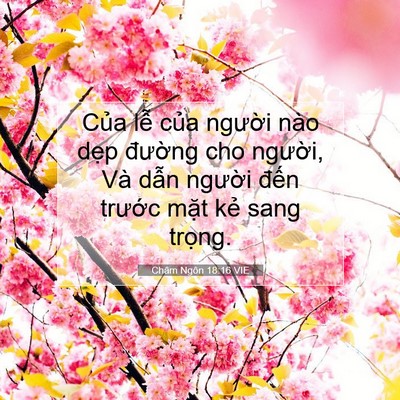 Picture 07 - Châm Ngôn 18:16 VIE - Của lễ của người nào dẹp đường - Bible Verse Picture