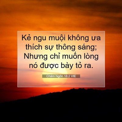 Picture 07 - Châm Ngôn 18:2 VIE - Kẻ ngu muội không ưa thích sự thông - Bible Verse Picture