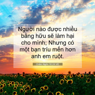 Picture 07 - Châm Ngôn 18:24 VIE - Người nào được nhiều bằng hữu sẽ - Bible Verse Picture