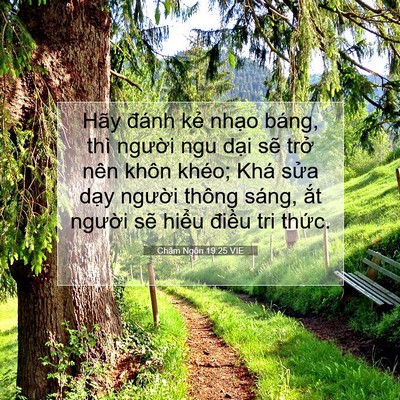 Picture 07 - Châm Ngôn 19:25 VIE - Hãy đánh kẻ nhạo báng, thì người ngu - Bible Verse Picture