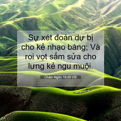 Picture 07 - Châm Ngôn 19:29 VIE - Sự xét đoán dự bị cho kẻ nhạo báng; - Bible Verse Picture
