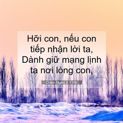 Picture 07 - Châm Ngôn 2:1 VIE - Hỡi con, nếu con tiếp nhận lời ta, - Bible Verse Picture