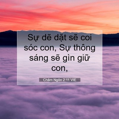 Picture 07 - Châm Ngôn 2:11 VIE - Sự dẽ dặt sẽ coi sóc con, Sự thông - Bible Verse Picture