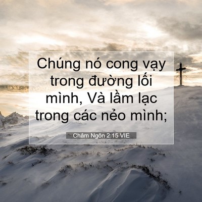Picture 07 - Châm Ngôn 2:15 VIE - Chúng nó cong vạy trong đường lối - Bible Verse Picture