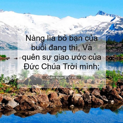 Picture 07 - Châm Ngôn 2:17 VIE - Nàng lìa bỏ bạn của buổi đang thì, - Bible Verse Picture
