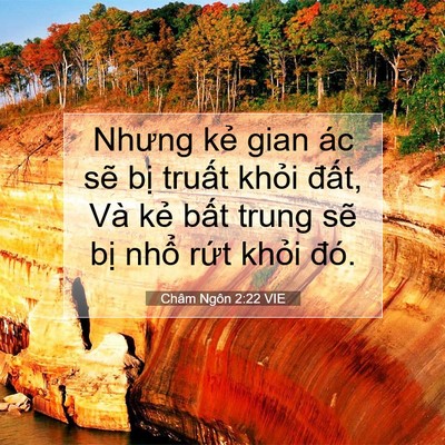 Picture 07 - Châm Ngôn 2:22 VIE - Nhưng kẻ gian ác sẽ bị truất khỏi - Bible Verse Picture