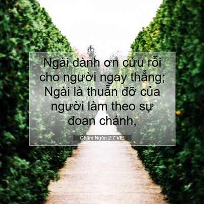 Picture 07 - Châm Ngôn 2:7 VIE - Ngài dành ơn cứu rỗi cho người ngay - Bible Verse Picture