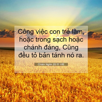 Picture 07 - Châm Ngôn 20:11 VIE - Công việc con trẻ làm, hoặc trong sạch - Bible Verse Picture