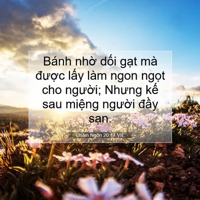Picture 07 - Châm Ngôn 20:17 VIE - Bánh nhờ dối gạt mà được lấy làm - Bible Verse Picture