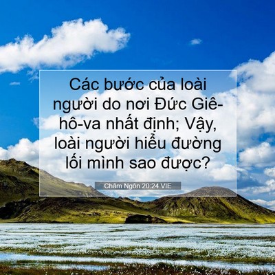 Picture 07 - Châm Ngôn 20:24 VIE - Các bước của loài người do nơi Đức - Bible Verse Picture