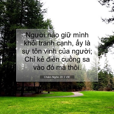 Picture 07 - Châm Ngôn 20:3 VIE - Người nào giữ mình khỏi tranh cạnh, - Bible Verse Picture