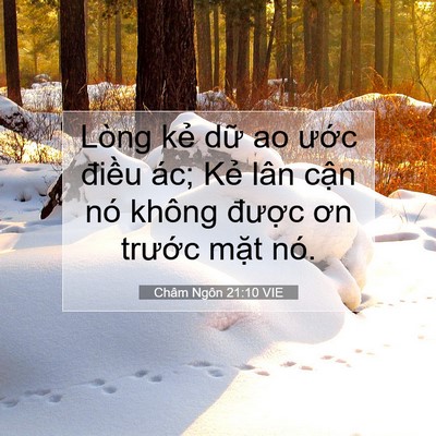Picture 07 - Châm Ngôn 21:10 VIE - Lòng kẻ dữ ao ước điều ác; Kẻ lân - Bible Verse Picture