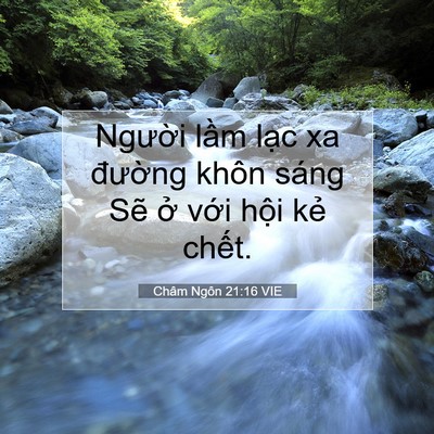 Picture 07 - Châm Ngôn 21:16 VIE - Người lầm lạc xa đường khôn sáng - Bible Verse Picture