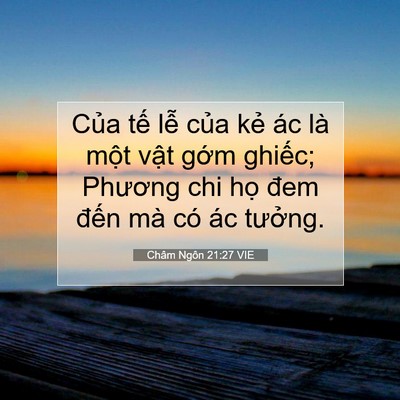 Picture 07 - Châm Ngôn 21:27 VIE - Của tế lễ của kẻ ác là một vật - Bible Verse Picture
