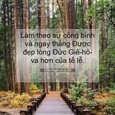 Picture 07 - Châm Ngôn 21:3 VIE - Làm theo sự công bình và ngay thẳng - Bible Verse Picture