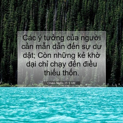 Picture 07 - Châm Ngôn 21:5 VIE - Các ý tưởng của người cần mẫn dẫn - Bible Verse Picture