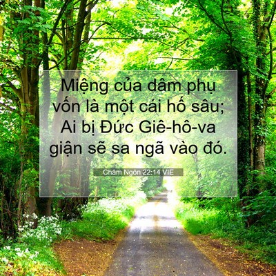 Picture 07 - Châm Ngôn 22:14 VIE - Miệng của dâm phụ vốn là một cái - Bible Verse Picture