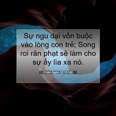 Picture 07 - Châm Ngôn 22:15 VIE - Sự ngu dại vốn buộc vào lòng con trẻ; - Bible Verse Picture