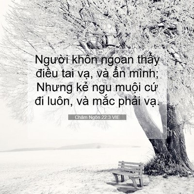 Picture 07 - Châm Ngôn 22:3 VIE - Người khôn ngoan thấy điều tai vạ, và - Bible Verse Picture