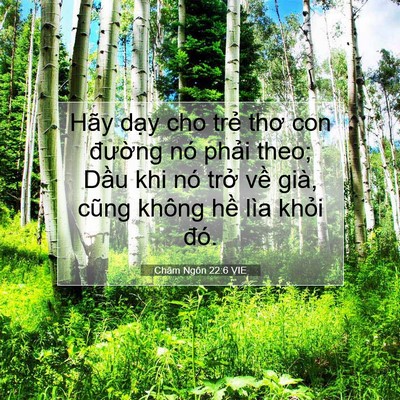Picture 07 - Châm Ngôn 22:6 VIE - Hãy dạy cho trẻ thơ con đường nó - Bible Verse Picture