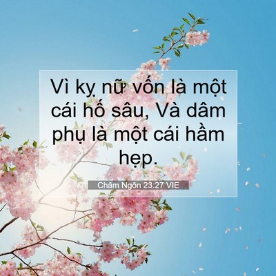 Picture 07 - Châm Ngôn 23:27 VIE - Vì kỵ nữ vốn là một cái hố sâu, Và - Bible Verse Picture