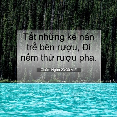 Picture 07 - Châm Ngôn 23:30 VIE - Tất những kẻ nán trễ bên rượu, Đi - Bible Verse Picture