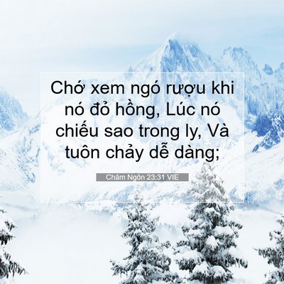Picture 07 - Châm Ngôn 23:31 VIE - Chớ xem ngó rượu khi nó đỏ hồng, Lúc - Bible Verse Picture