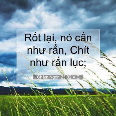 Picture 07 - Châm Ngôn 23:32 VIE - Rốt lại, nó cắn như rắn, Chít như - Bible Verse Picture