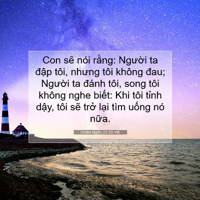 Picture 07 - Châm Ngôn 23:35 VIE - Con sẽ nói rằng: Người ta đập tôi, - Bible Verse Picture