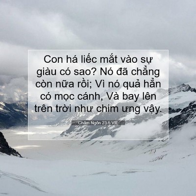 Picture 07 - Châm Ngôn 23:5 VIE - Con há liếc mắt vào sự giàu có sao? Nó - Bible Verse Picture