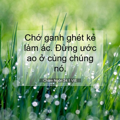 Picture 07 - Châm Ngôn 24:1 VIE - Chớ ganh ghét kẻ làm ác. Đừng ước ao - Bible Verse Picture