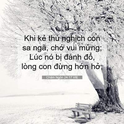 Picture 07 - Châm Ngôn 24:17 VIE - Khi kẻ thù nghịch con sa ngã, chớ vui - Bible Verse Picture