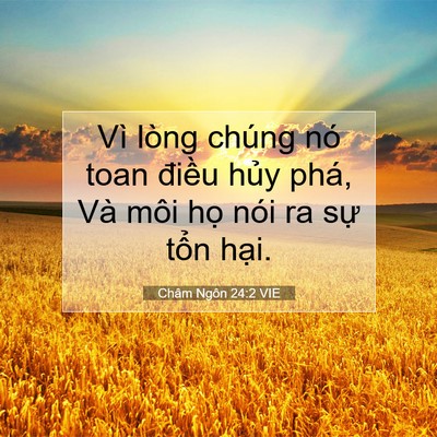Picture 07 - Châm Ngôn 24:2 VIE - Vì lòng chúng nó toan điều hủy phá, Và - Bible Verse Picture