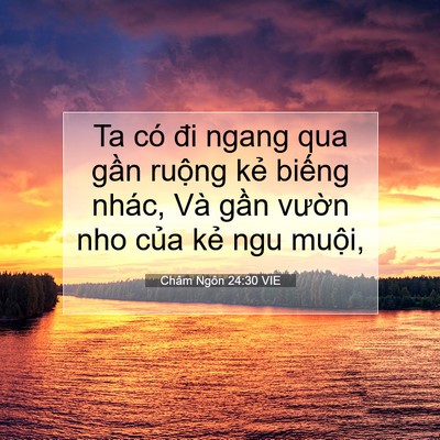 Picture 07 - Châm Ngôn 24:30 VIE - Ta có đi ngang qua gần ruộng kẻ biếng - Bible Verse Picture